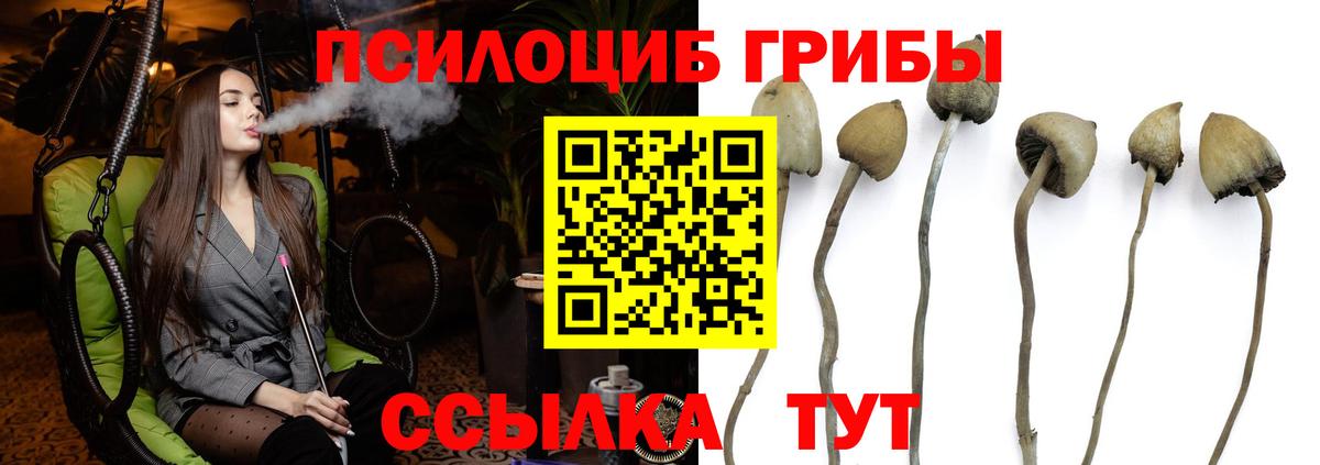 Галлюциногенные грибы мухоморы  Вход с VPN  Апрелевка 